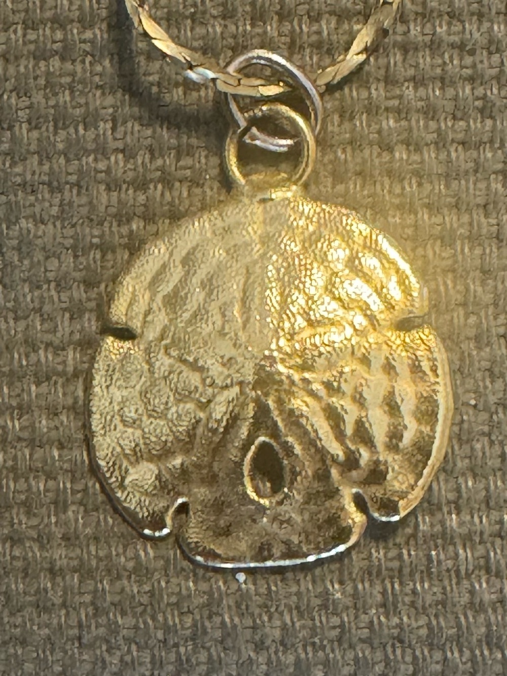Vintage 14KT (1/20) Gold Sand Dollar Pendant & Gold Necklace